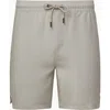 Onia Regular Fit 6 Shorts In Stone