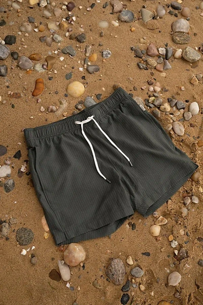 Onia Charles 5" Swim Trunk In Soft Olive, Men's At Urban Outfitters In Gray