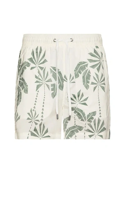 Onia Charles 5 Swim Trunk In Multi