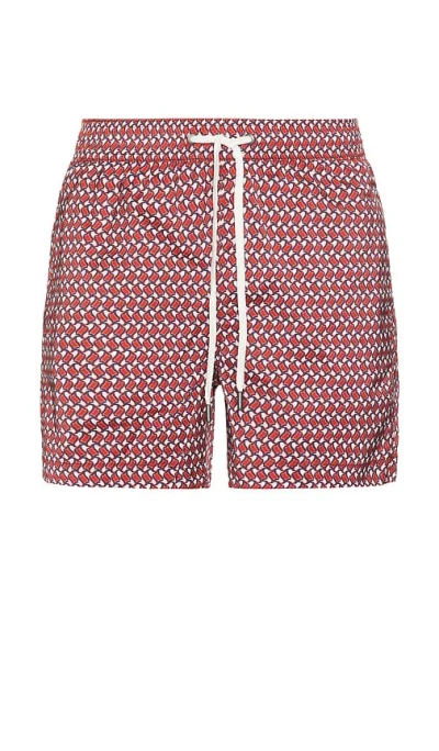 Onia Charles 5 Swim Trunk In Picante Multi