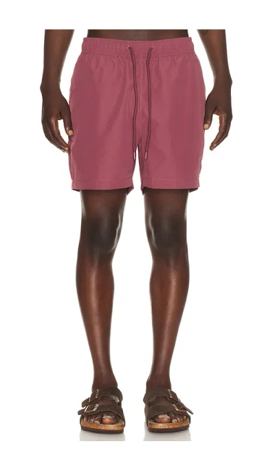 Onia Charles 5 Swim Trunk In Purple
