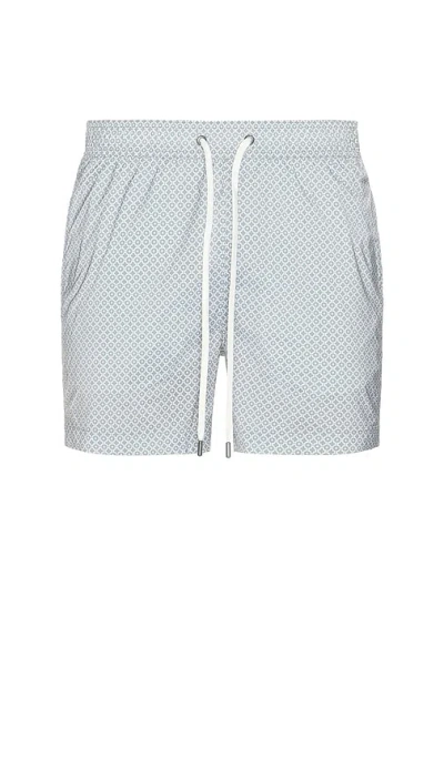 Onia Charles 5 Swim Trunks In Gray
