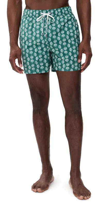 Onia Charles 5 Swim Trunks Aloe Multi In Green