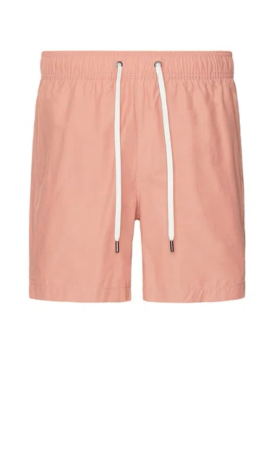 Onia Charles 7 Swim Short In Rosette
