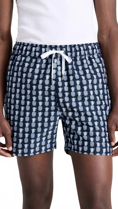 Onia Charles Swim Trunks In Geo Pineapples In Blue