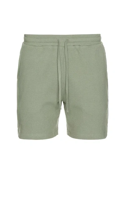 Onia Macro Waffle Pull-on Short 6 In Sage