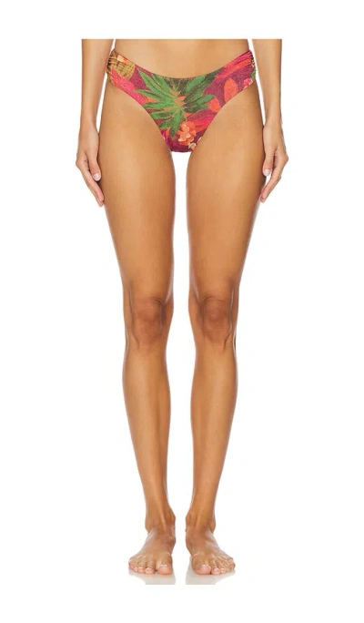 Onia Rosa Bikini Bottom In Rhubarb Multi
