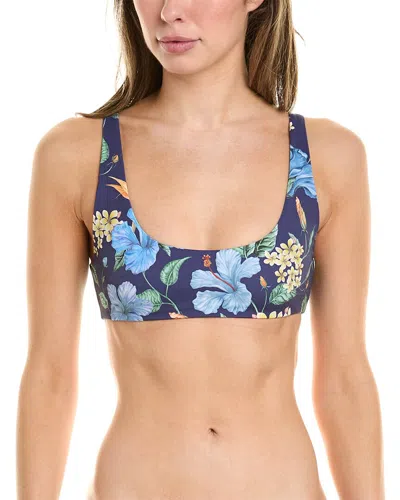 Onia Scoop Bikini Top In Blue