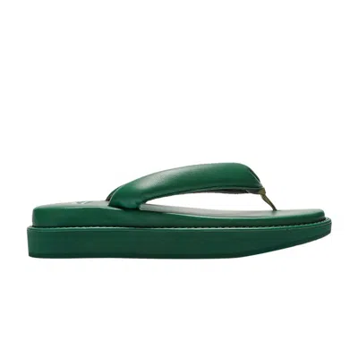 Pre-owned Onitsuka Tiger Tiger Setta Nm 'edible Moss' In Green