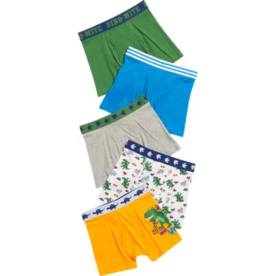 Only Boys Babies'  Kids' Jeremy 5-pack Boxer Brief In Green Multi