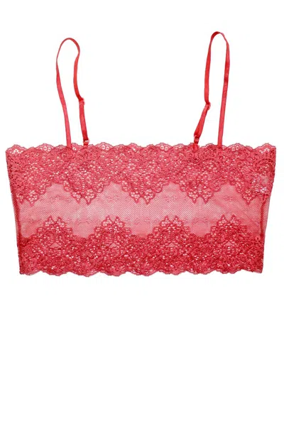 Only Hearts Women's So Fine Lace Crop Cami In Guava In Brown
