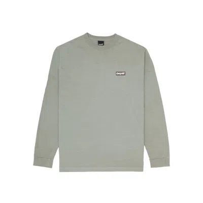 Only Ny Men's Block Logo Long Sleeve Tee Shirt In Light Sage In Multi