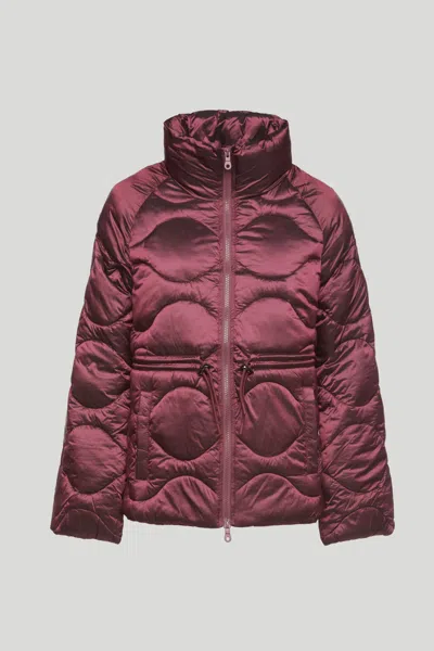 Oof Wear Giubbotto Corto Imbottito Vinaccia In Bordeaux