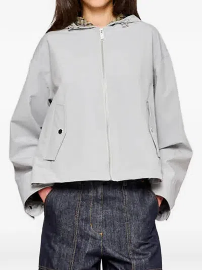 Oof Wear Hooded Jacket In Gray