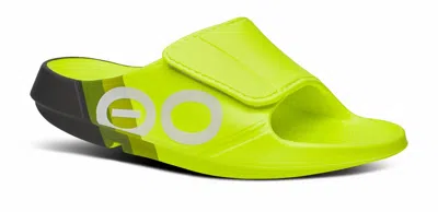 Oofos Men's Ooahh Sport Flex Slide Sandals In Electro Rally In Animal Print