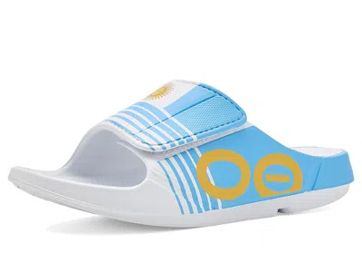 Oofos Ooaah Sport Slide Limited Sandals Argentina Flag: Men's 14 - Women's 16 Medium In Blue