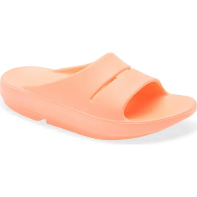 Oofos Ooahh Sport Slide Sandal In Multi