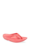 OOFOS OOFOS OOLALA FLIP FLOP