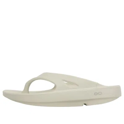 Oofos Ooriginal Sandal 'eggnog Chalk' In Neutral