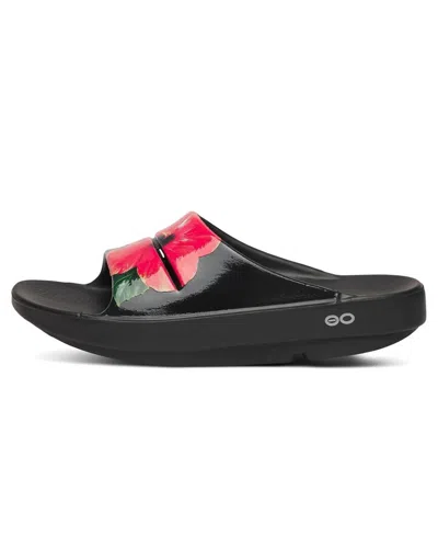 Oofos Women's Ooahh Slides In Pop Hibiscus In Multi