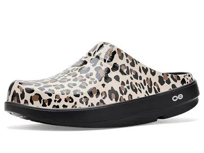 Oofos Women's Oocloog Limited Women's Sandals Leopard: 5 Medium In Multi