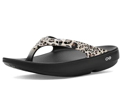 OOFOS WOMEN'S OOLALA LIMITED THONG WOMEN'S SANDALS LEOPARD: 6 MEDIUM