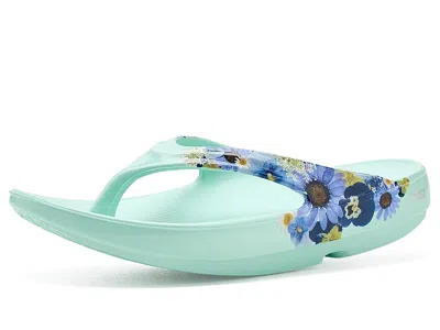 Oofos Women's Oolala Limited Thong Women's Sandals Mint: 11 Medium In Blue
