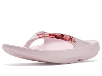 Oofos Women's Oolala Limited Thong Women's Sandals Primrose Blossom: 9 Medium In Pink