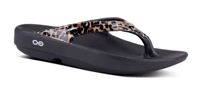 Oofos Women's Oolala Sandals In Black Cheetah