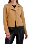 Ookie & Lala Linear Knit Moto Jacket