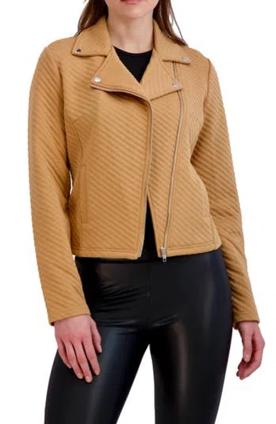 Ookie & Lala Linear Knit Moto Jacket