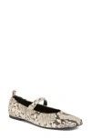 Open Edit Amethyst Mary Jane Ballet Flat In Multi