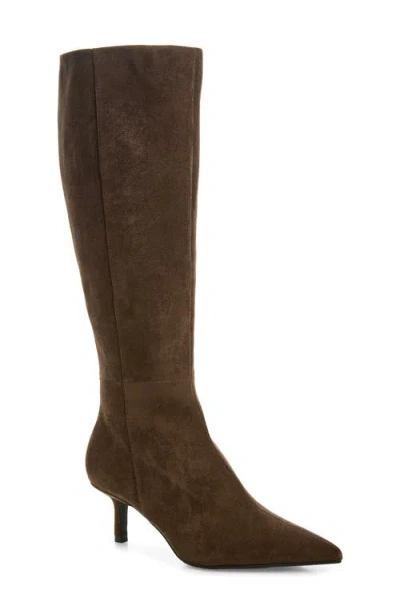 Open Edit Elara Pointed Toe Knee High Boot In Brown