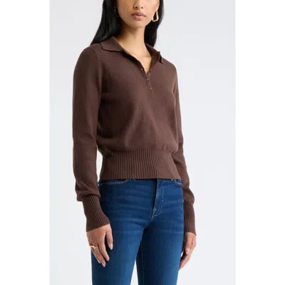 Open Edit Long Sleeve Polo Sweater In Brown