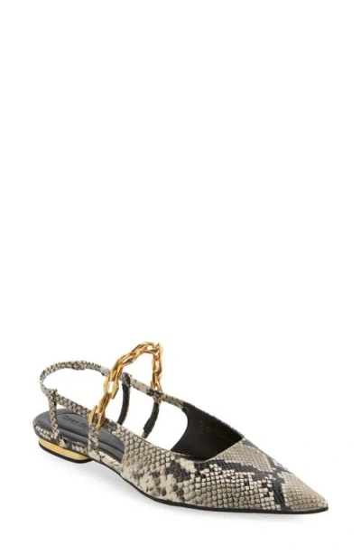 Open Edit Olympia Snake Embossed Flat In Black-white Snake