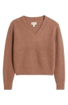 Open Edit Rib V-neck Sweater In Brown