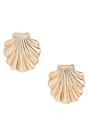 Open Edit Scallop Shell Stud Earrings In Gold