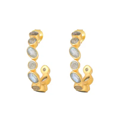 Opium Jewels Women's Gold / Blue / Grey Halo Stud Hoops - Labradorite In Gold/blue/grey
