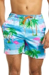 Opposuits Flaminguy Stretch Swim Trunks In Multi