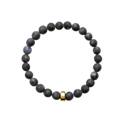 Ora Pearls Gold / Blue / Grey Aro Men's Larvikite Bracelet Gold Bead - Large In Multi