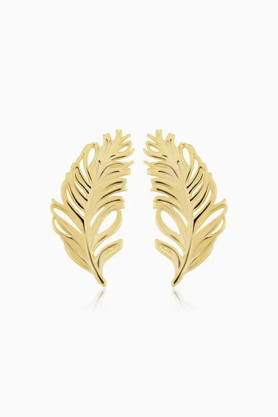 Oradina 10k Gold Fine As A Feather Studs Earrings In Yellow Gold