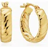 Oradina 14k Gold Cobra Hoops Earrings In Yellow Gold