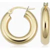 Oradina Everything Bold Hoops (4 X 10mm) In 14k Yellow Gold, 14k White Gold Or 14k Rose Gold In Yellow Gold