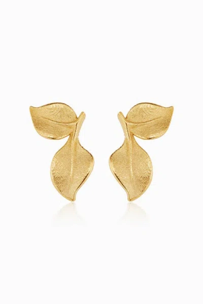 Oradina 14k Yellow Gold New Beginnings Stud Earrings