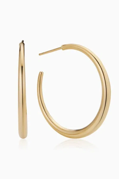 Oradina Women's 14k Yellow Gold The Archie Hoops