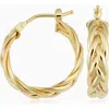 Oradina 14k Yellow Gold Caesar Midi Hoops In Yellow Gold