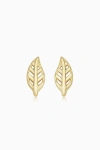 Oradina 14k Yellow Gold Leaf Your Mark Studs In Yellow Gold