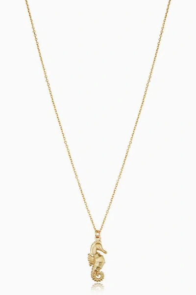 Oradina Seahorse Pendant Necklace In Yellow Gold
