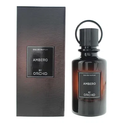 Orchid Unisex Ambero Edp 3.4 oz Fragrances 6291105873826