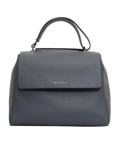 Orciani Bag In Black